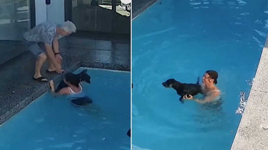 Tutora se joga duas vezes na piscina para salvar cão idoso Tutora se joga duas vezes na piscina para salvar cão idoso