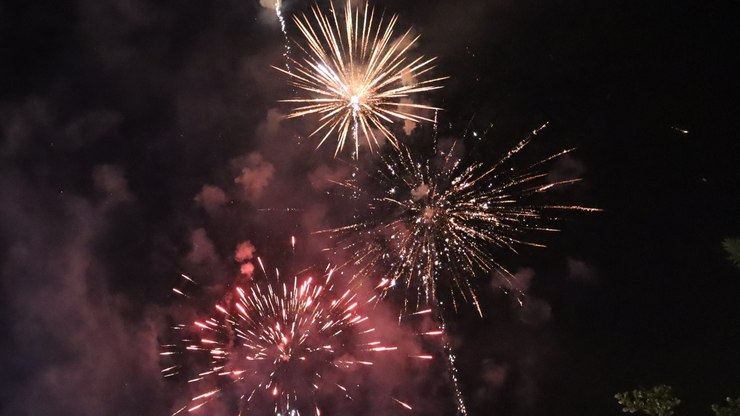 Festas%20de%20fim%20de%20ano%20exigem%20cuidados%20redobrados%20com%20pets