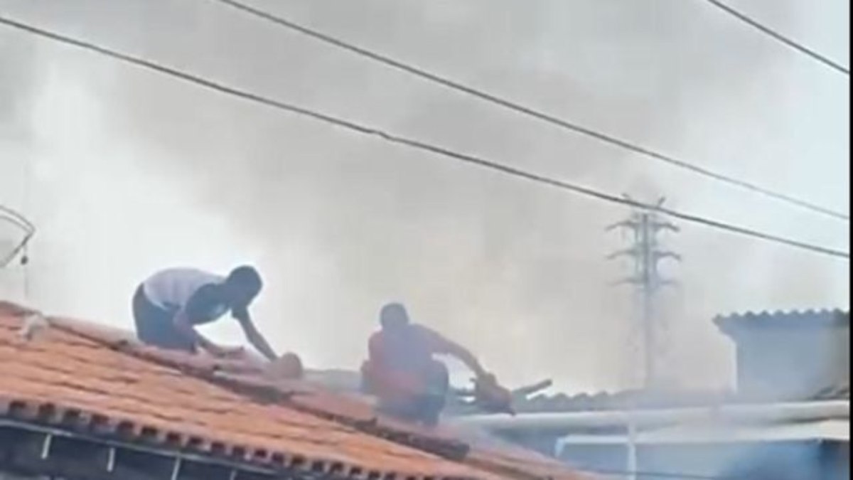 Vizinhos tentaram ajudar, mas os bebês de 1 anos acabaram falecendo Vizinhos tentaram ajudar, mas os bebês de 1 anos acabaram falecendo