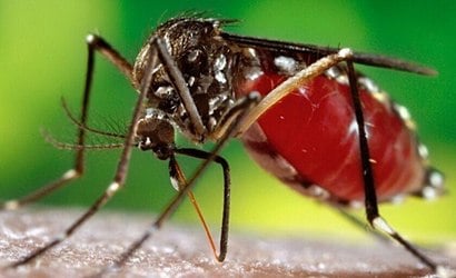 Brasil ultrapassa 4 milhões de casos de dengue em 2024