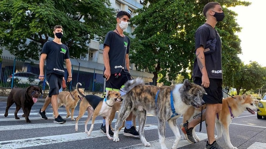 TAL Passeadores presta serviço de DogWalker no Rio de Janeiro