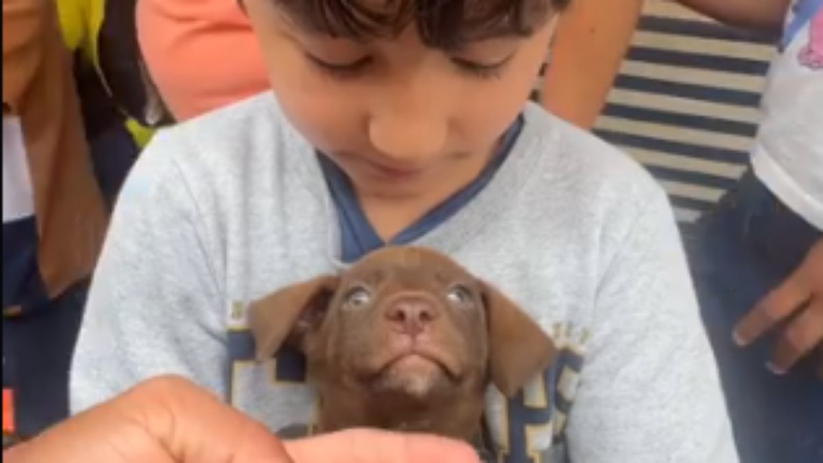Caio e Pipoca se dão bem desde o primeiro momento Caio e Pipoca se dão bem desde o primeiro momento