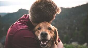 Você é um bom dono? Veja como saber se seu cão é feliz ao seu lado