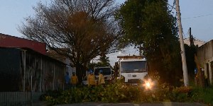 Campinas tem ventos, queda de árvores e frio antes de calorão