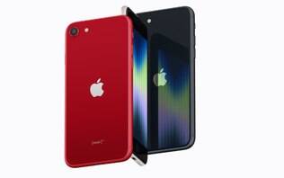 Comparativo: iPhone SE (2022) contra iPhone 13; qual é a diferença?