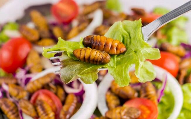 Começar a comer insetos pode ser uma boa ideia caso você queira se prevenir contra o câncer