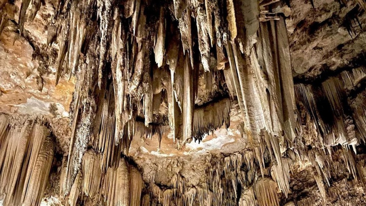 Caverna na Espanha recebe visita de humanos há mais de 40 mil anos