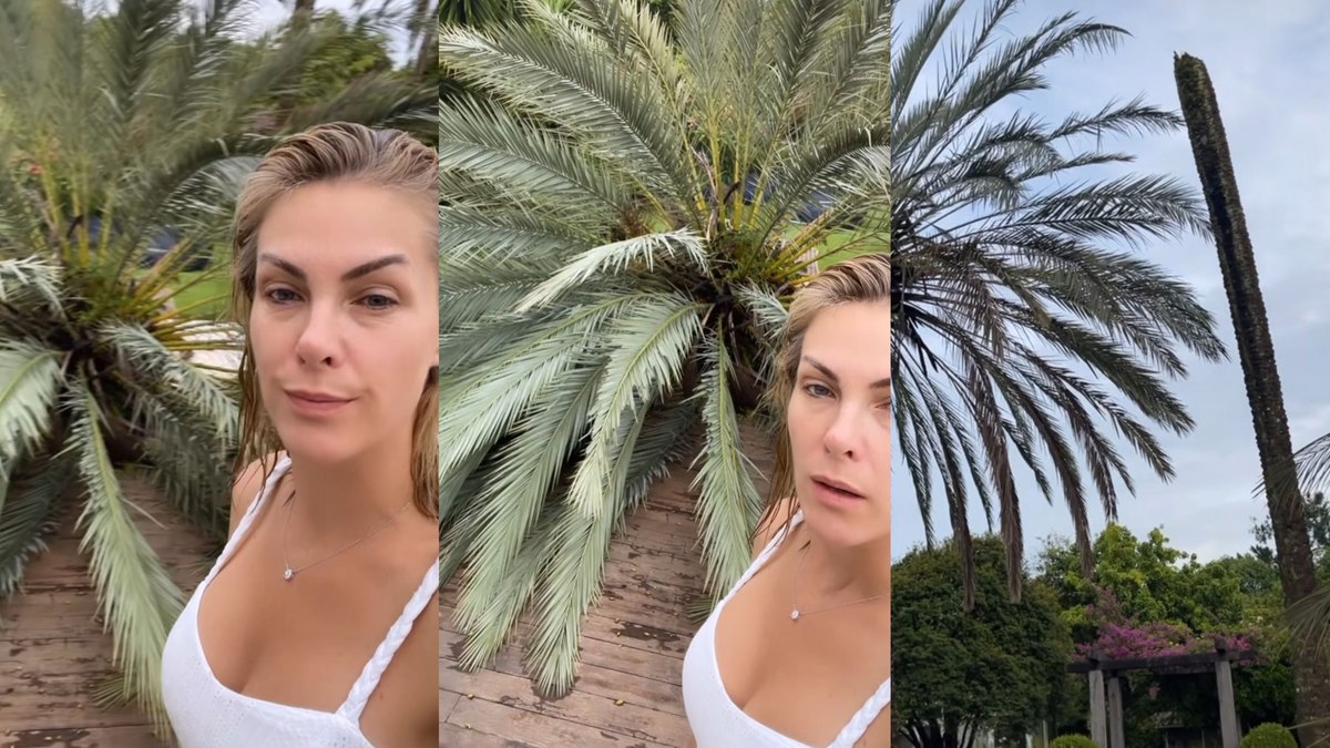 Ana Hickmann mostra árvore caída na mansão dela