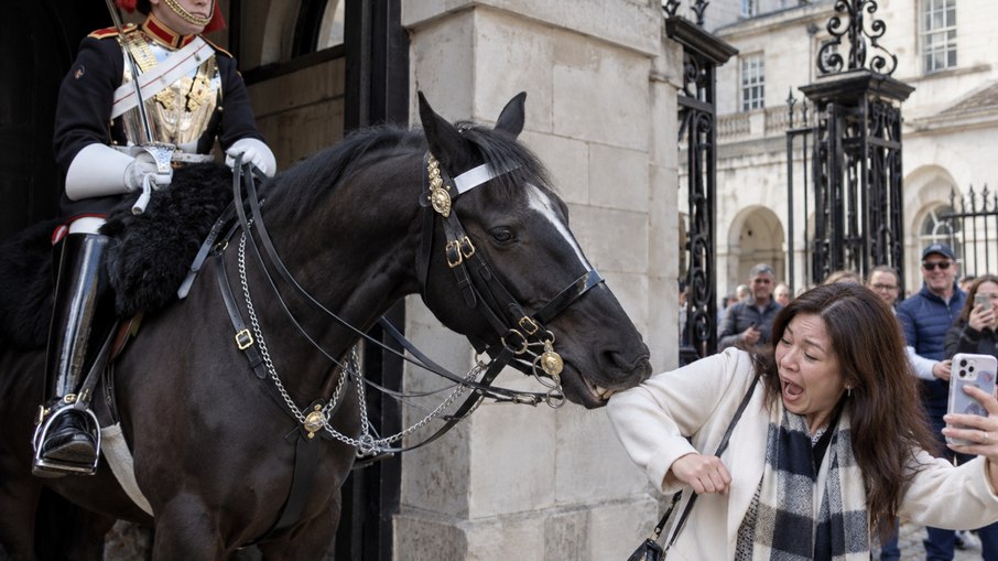 É proibido tirar foto com os cavalos da Guarda Real em Londres? É proibido tirar foto com os cavalos da Guarda Real em Londres?