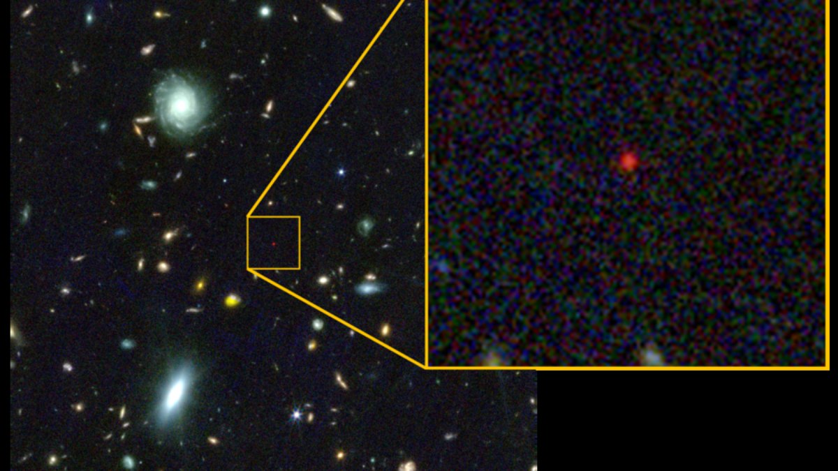Supertelescópio James Webb, da NASA, foi usado na nova descoberta: a 'estrela de buraco negro'
