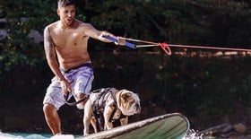 Barbeiro treina surfe com cachorro para mundial na Califórnia; confira