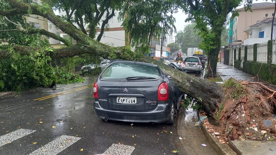 Carros foram atingidos por árvores em Santos Carros foram atingidos por árvores em Santos