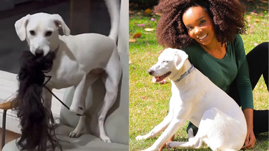 Thelma Assis diverte seguidores ao mostrar momento inusitado com sua cachorra, Charllote