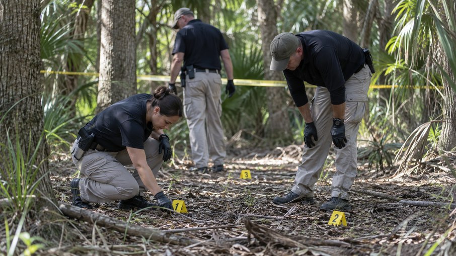 Os crimes ficaram conhecidos como Assassinatos da Trilha dos Porcos devido às áreas pantanosas e arborizadas onde os corpos eram encontrados Os crimes ficaram conhecidos como Assassinatos da Trilha dos Porcos devido às áreas pantanosas e arborizadas onde os corpos eram encontrados