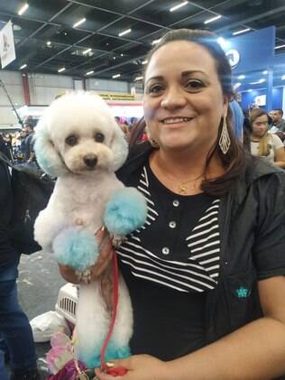 tosadora com cachorro