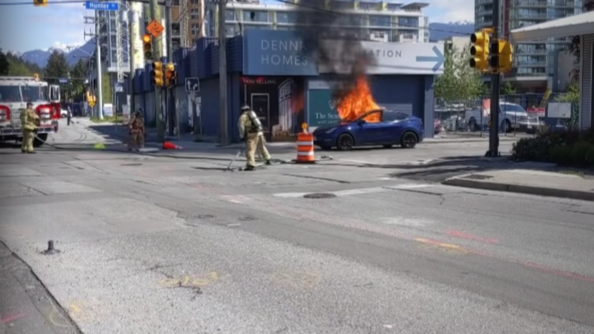 VIDEO: Tesla car catches fire with driver inside after electrical ‘failure’ |  World