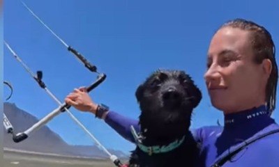 Cão radical acompanha tutora em passeio de kitesurf