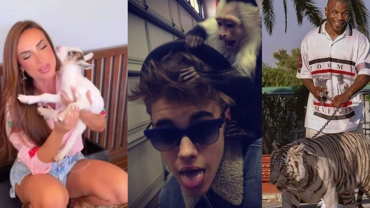 Vaca%2C%20tigre%20e%20pav%C3%A3o%3A%20os%20pets%20mais%20caros%20das%20celebridades