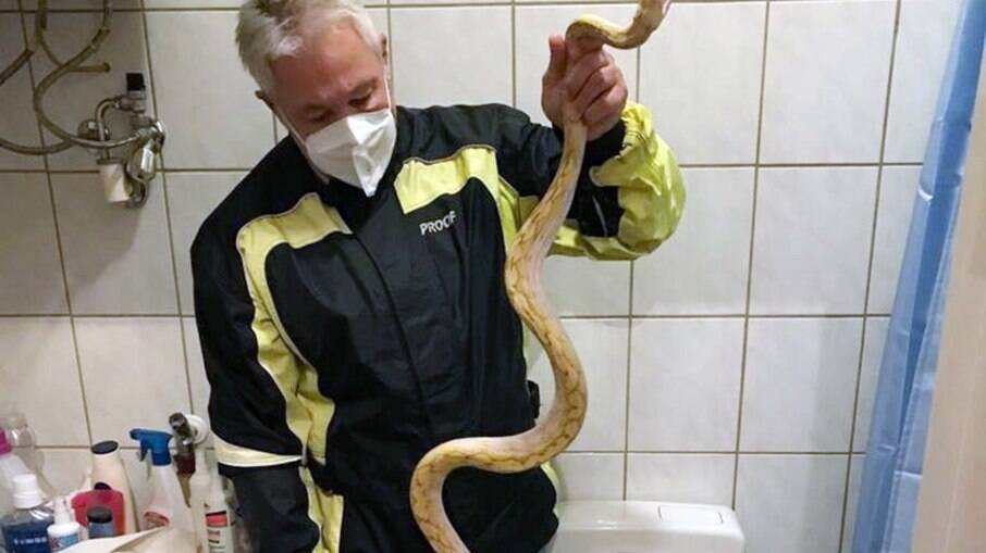 O especialista em répteis Werner Stangl segura uma cobra que picou um homem que estava sentado no vaso sanitário.