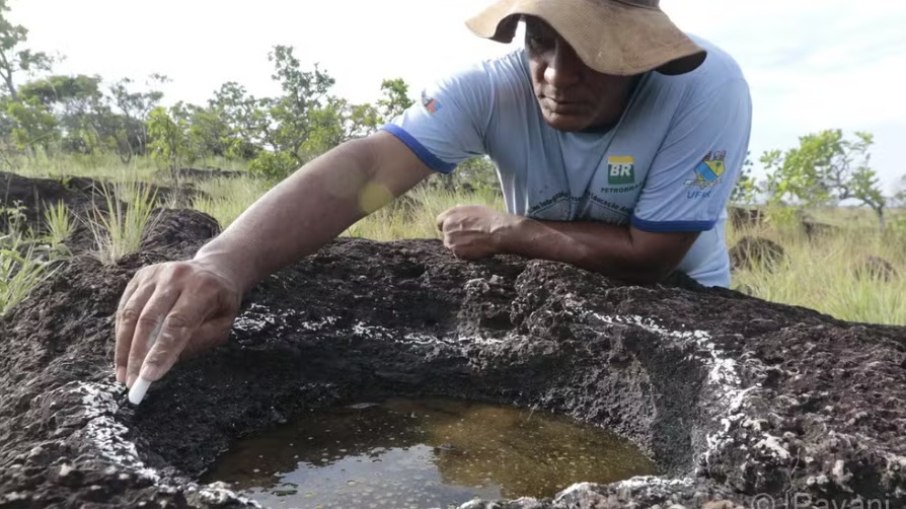 Inédito: pegadas de dinossauros são descobertas na Amazônia