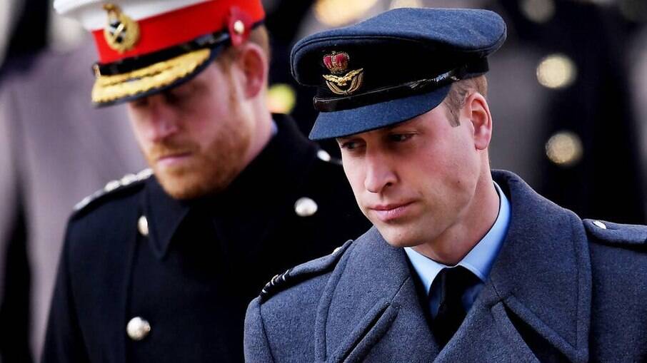 Príncipe Harry e príncipe William