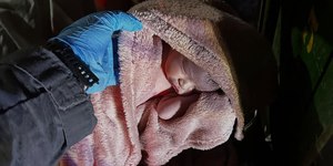 Bebê nasce sob viaduto em SP e PMs fazem parto de emergência