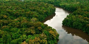 Amazônia registra queda superior a 30% no desmatamento