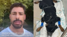 Cachorros de Cauã Reymond sofrem envenenamento