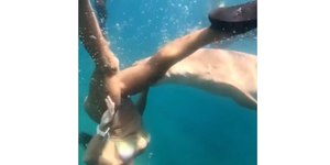 Veja momento em que tubarão ataca mulher em Fernando de Noronha