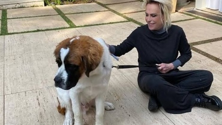 Ana%20Maria%20Braga%20lamenta%20perda%20de%20cachorro