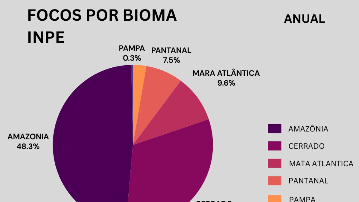 Focos por bioma