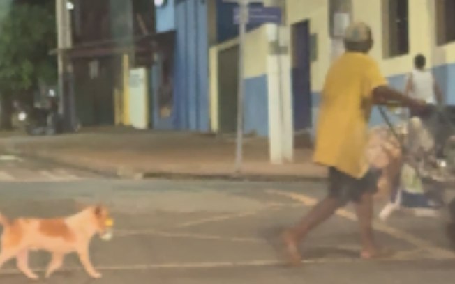 Cão carrega garrafa de pinga do dono na boca Bvhxqxxgskoddbtqz2g7qy87x