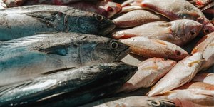 Peixe na Semana Santa: pesquisa aponta variação de até 137% em SC