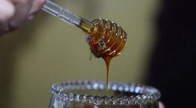 Conheça o Porto do café brasileiro, maior do Brasil