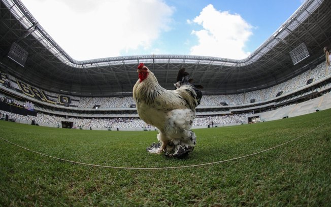 Arena MRV: Atletico-MG terá o quarto gramado sintético da Série A