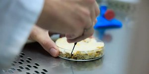 Unicamp usa fungos para criar novo ingrediente alimentar; entenda