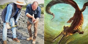 Obra da PR-364 é suspensa após achado de fósseis raros no Paraná