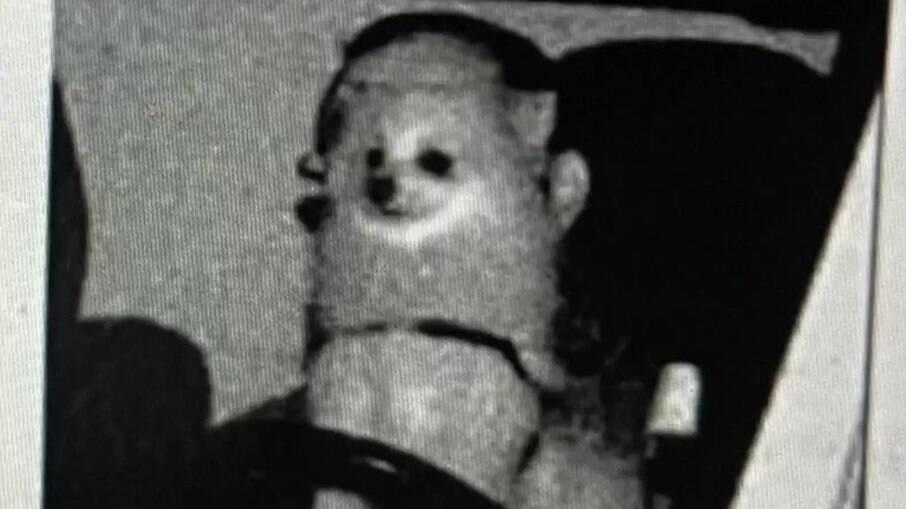 Cachorro é visto no volante em foto de multa de trânsito