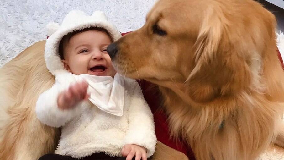 bebê e cachorro