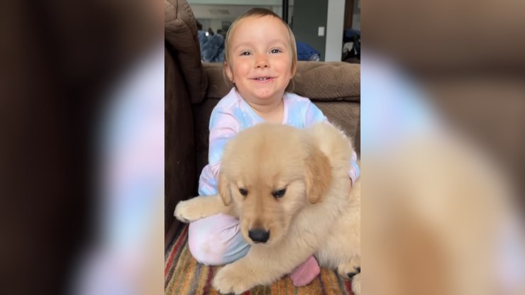 Menina encanta ao apresentar seu cachorro: “Ele quer me lamber”