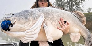 Pescador 'fica nas nuvens' após recorde com bacalhau de 1,34m