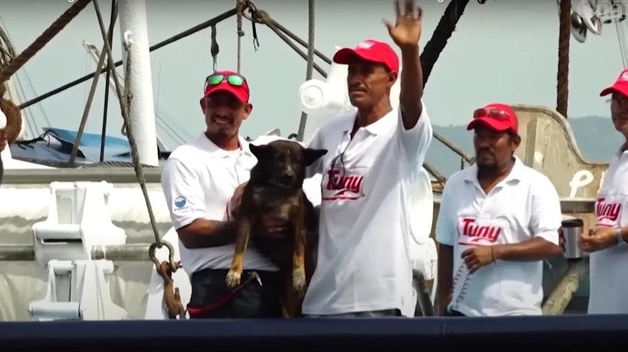 Marinheiro revela que cadela que o acompanhou enquanto esteve perdido no mar foi adotada por um dos tripulantes do navio que o resgatou