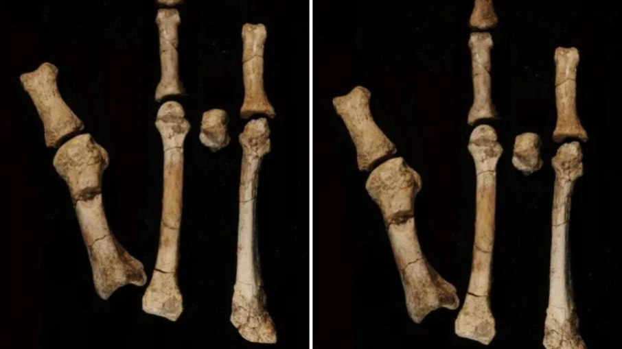 Pé fossilizado de 3,4 milhões de anos é identificado