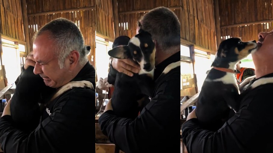 Tutor se emociona ao reencontrar cadela resgatada no Rio Grande do Sul