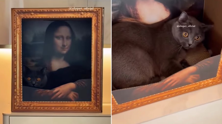 Cama de gato escondida em quadro viraliza com visual vintage Cama de gato escondida em quadro viraliza com visual vintage