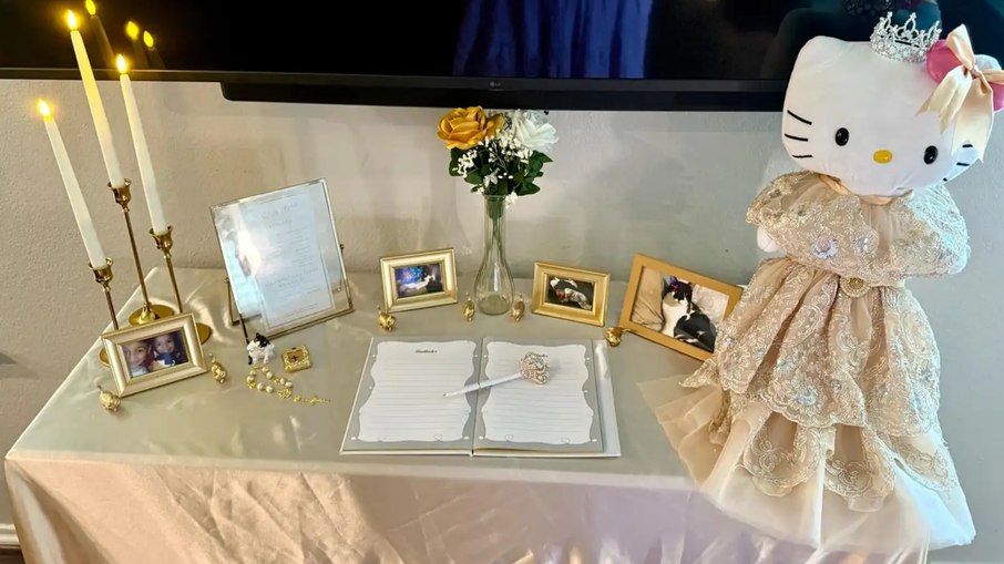 Mesa decorada em homenagem à debutante felina. Mesa decorada em homenagem à debutante felina.