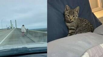 Mulher encontra gatinho na beira de ponte e corre para resgatá-lo