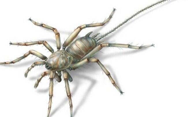 Aranha com cauda de escorpião foi nomeada de Chimerarachne,em homenagem a Quimera,híbrido da mitologia grega