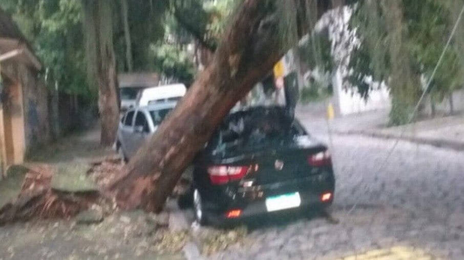 A árvore que caiu na Rua Pereira da Silva, em Laranjeiras, atingiu um carro