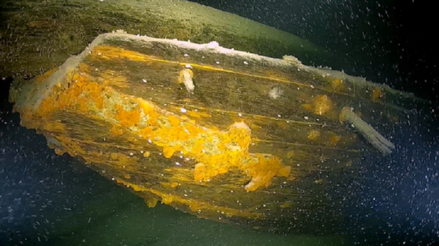 O projeto evidencia que o Lago de Constan&ccedil;a mant&eacute;m potencial para novas descobertas